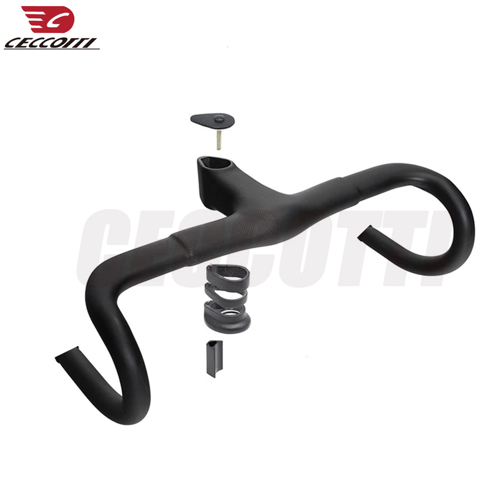 F10 Full Carbon Fiber Road Bik - đánh giá và giá Edelweiss Stem Cell